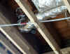 A sprinkler head 